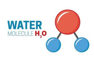 acqua molecola h2o chimico struttura illustrazione vettore