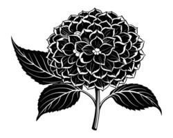 protea fiori nero sagome vettore