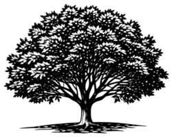 disegno dell'illustrazione dell'albero vettore