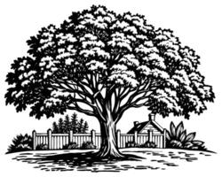 disegno dell'illustrazione dell'albero vettore