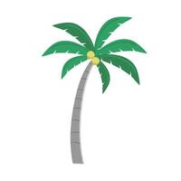 mano disegnato palma alberi con Noce di cocco su un' bianca sfondo vettore