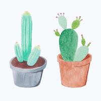 carino acquerello cactus clipart - Scarica succulento illustrazione vettore