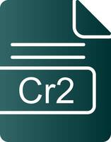 cr2 file formato glifo pendenza icona vettore