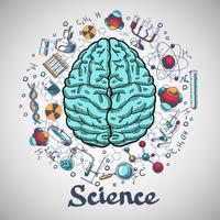 Concetto di scienza di schizzo del cervello