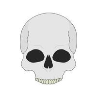 illustrazione di colore del cranio umano. icona vettoriale isolato