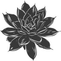 silhouette succulento pianta nero colore solo vettore