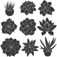 silhouette succulento pianta nero colore solo vettore