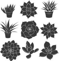 silhouette succulento pianta nero colore solo vettore