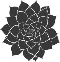 silhouette succulento pianta nero colore solo vettore