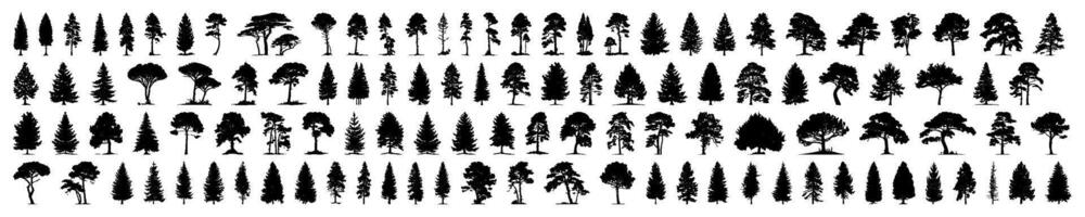 pieno silhouette albero linea disegno impostare, lato Visualizza, impostato di grafica alberi elementi schema simbolo per architettura e paesaggio design disegno. illustrazione nel ictus riempire, mega collezione vettore