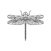 nero libellula cartello simbolo icona logo . libellula schema isolato libellula su bianca sfondo vettore
