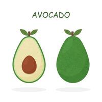 realistico avocado illustrazione. totale e tagliare avocado isolato su bianca sfondo. vettore