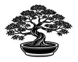 Bonsai albero isolato su bianca vettore