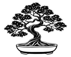 Bonsai albero isolato su bianca vettore