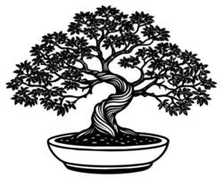 Bonsai albero isolato su bianca vettore