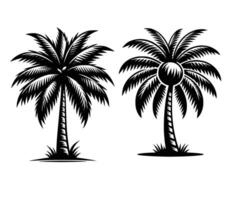 gratuito Noce di cocco albero illustrazione vettore