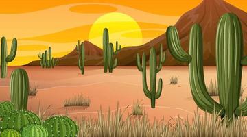 paesaggio della foresta del deserto al tramonto scena con molti cactus vettore