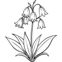 campanula fiore pianta schema illustrazione colorazione libro pagina disegno, campanula fiore pianta nero e bianca linea arte disegno colorazione libro pagine per bambini e adulti vettore