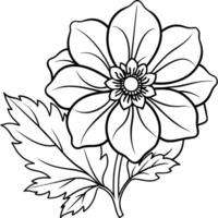 anemone fiore pianta schema illustrazione colorazione libro pagina disegno, anemone fiore pianta nero e bianca linea arte disegno colorazione libro pagine per bambini e adulti vettore