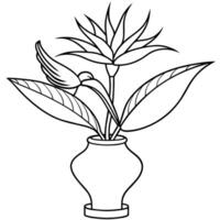 uccello di Paradiso fiore su il vaso schema illustrazione colorazione libro pagina disegno, uccello di Paradiso fiore su il vaso nero e bianca linea arte disegno colorazione libro pagine per bambini e adulti vettore