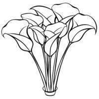 calla giglio fiore mazzo schema illustrazione colorazione libro pagina disegno, calla giglio fiore mazzo nero e bianca linea arte disegno colorazione libro pagine per bambini e adulti vettore