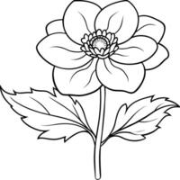 anemone fiore pianta schema illustrazione colorazione libro pagina disegno, anemone fiore pianta nero e bianca linea arte disegno colorazione libro pagine per bambini e adulti vettore