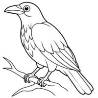 uccello colorazione libro pagina mano disegnare illustrazione vettore