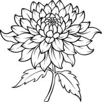 crisantemo fiore pianta schema illustrazione colorazione libro pagina disegno, crisantemo fiore pianta nero e bianca linea arte disegno colorazione libro pagine per bambini e adulti vettore