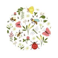 set vettoriale di fiori selvatici, ape, calabrone, libellula, coccinella, falena, farfalla incorniciata in cerchio. simpatica collezione di insetti di prato o di campo, acacia, erica, camomilla, grano saraceno, trifoglio, meliloto