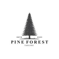 semplice pino o abete albero logo pino Casa sempreverde.per pino foresta avventurieri campeggio natura badge e attività commerciale. vettore