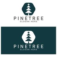 semplice pino o abete albero logo pino Casa sempreverde.per pino foresta avventurieri campeggio natura badge e attività commerciale. vettore