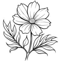 cosmo fiore pianta schema illustrazione colorazione libro pagina disegno, cosmo fiore pianta nero e bianca linea arte disegno colorazione libro pagine per bambini e adulti vettore