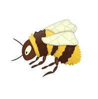 illustrazione vettoriale di carino calabrone isolato su sfondo bianco. immagine colorata di insetto in stile cartone animato. effetto acquerello.
