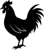 un' maestoso pollo silhouette incarna eleganza e fascino nel travolgente dettaglio vettore