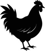 un' maestoso pollo silhouette incarna eleganza e fascino nel travolgente dettaglio vettore