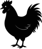 un' maestoso pollo silhouette incarna eleganza e fascino nel travolgente dettaglio vettore