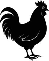 un' maestoso pollo silhouette incarna eleganza e fascino nel travolgente dettaglio vettore