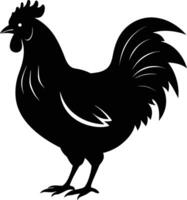 un' maestoso pollo silhouette incarna eleganza e fascino nel travolgente dettaglio vettore