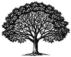 disegno dell'illustrazione dell'albero vettore