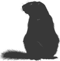 silhouette marmotta animale nero colore solo pieno corpo vettore