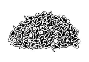 asciutto lavanda fiori mucchio linea arte. schema illustrazione di floreale tè. nero e bianca schizzo di officinalis per aroma bustina. mazzo di erbe aromatiche disegno su isolato sfondo. mano disegnato clipart vettore