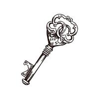 disegnato a mano Vintage ▾ decorativo chiavi schizzi con intricato forgiatura. inchiostro e penna disegno illustrazione, chiavi su bianca sfondo. vettore