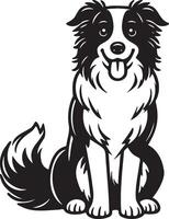 confine collie cane illustrazione. vettore