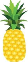 illustrazione vettoriale di frutta ananas