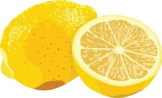 illustrazione vettoriale di frutta al limone