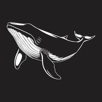balena logo - reale balena illustrazione nel nero e bianca vettore
