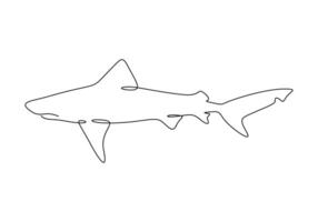 squalo pesce nel uno continuo linea disegno digitale illustrazione vettore