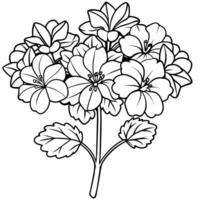 geranio fiore mazzo schema illustrazione colorazione libro pagina disegno, geranio fiore mazzo nero e bianca linea arte disegno colorazione libro pagine per bambini e adulti vettore