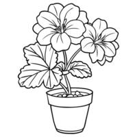 geranio fiore pianta schema illustrazione colorazione libro pagina disegno, geranio fiore pianta nero e bianca linea arte disegno colorazione libro pagine per bambini e adulti vettore