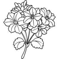 geranio fiore mazzo schema illustrazione colorazione libro pagina disegno, geranio fiore mazzo nero e bianca linea arte disegno colorazione libro pagine per bambini e adulti vettore